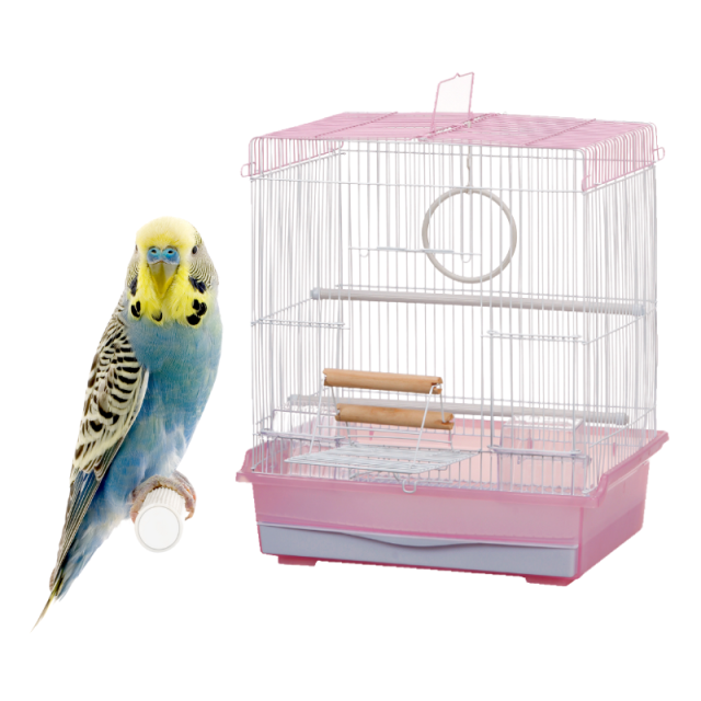 【送料無料】マルカン バードパレス　パームピンク 小鳥 鳥かご 多頭飼い