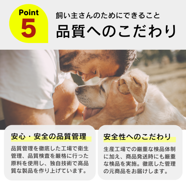 【2種類選べる】ドッグフード ウェット 405g×48個セット くいしんぼ 缶詰 犬缶 大容量 まとめ買い 多頭飼い_8