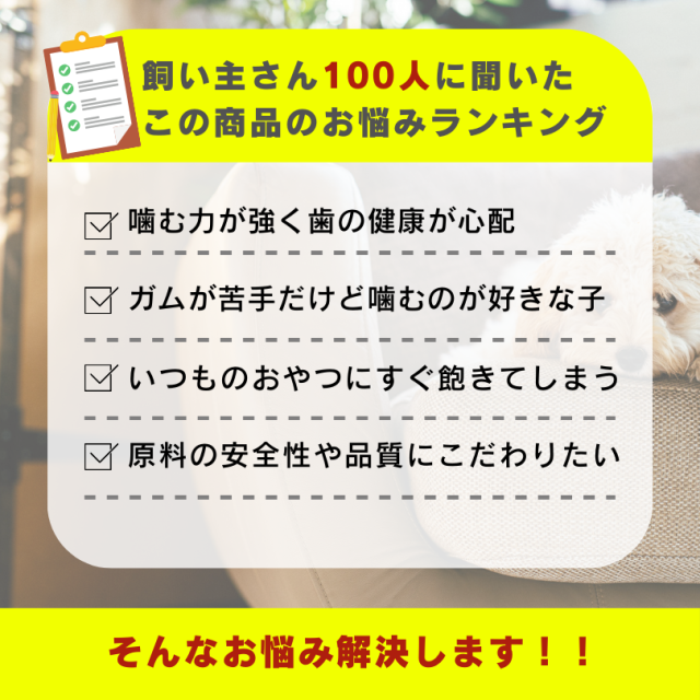 おいしい牛干し肉 80g×48袋セット 国産 牛肉 国産牛肉 無添加 無着色 厳選素材 ストレス解消 歯磨き 大容量  お徳用 まとめ売り おまけ付き 多頭 多頭飼い ジャーキー 犬用おやつ ペットフード ドッグフード 人気 長持ち_2