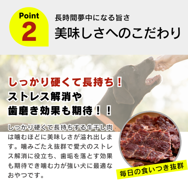 おいしい牛干し肉 80g×48袋セット 国産 牛肉 国産牛肉 無添加 無着色 厳選素材 ストレス解消 歯磨き 大容量  お徳用 まとめ売り おまけ付き 多頭 多頭飼い ジャーキー 犬用おやつ ペットフード ドッグフード 人気 長持ち_5