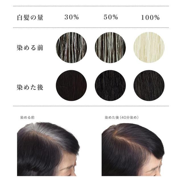 白髪染め ヘアカラー ヘナ＋木藍 黒 400g Naiad ナイアード 2個 カラー剤 カラーリング 毛染め トリートメント効果_3