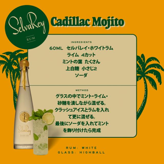 セルバレイ ホワイトラム 750ml 6本_3