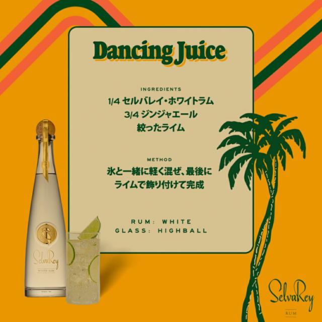 セルバレイ ホワイトラム 750ml 6本_4