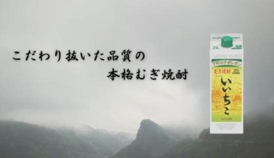 三和酒類(大分) 麦焼酎 いいちこ 25度 パック 1800ml 6本 1ケース_2