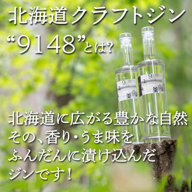 【２本セット】紅櫻蒸溜所 9148 ジン レシピ0101 700ml x2本_2