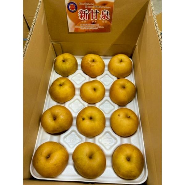 鳥取産新甘泉梨青秀18玉5kg✖️2箱セット！