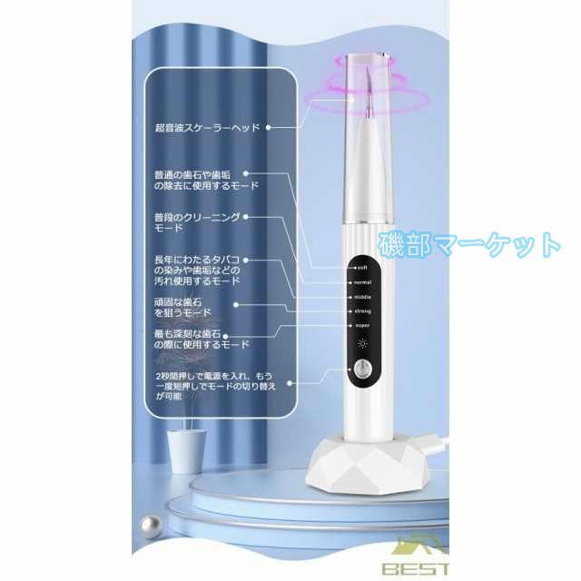 歯石取り 最新発売 超音波口腔洗浄器 内視カメラ搭載 超音波スケーラー