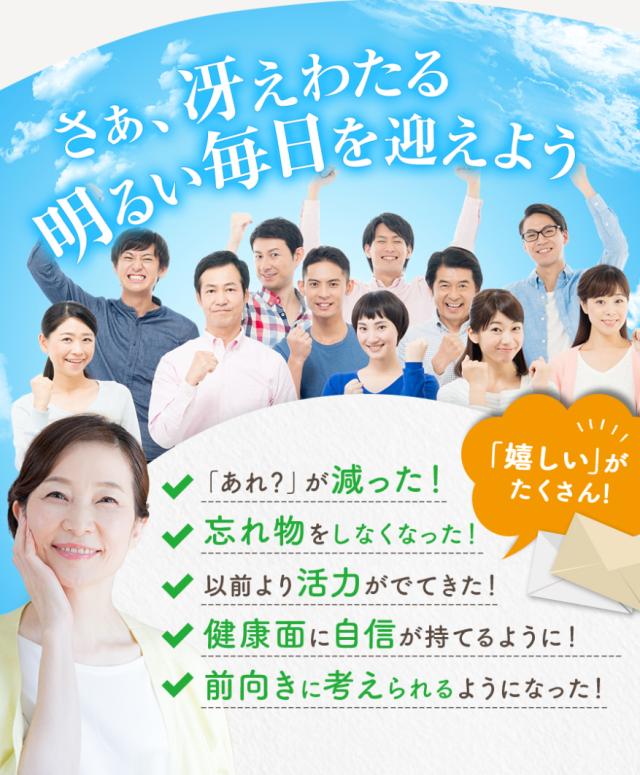 オメガ3 DHA EPA クリルオイル サプリメント オメガ3クリルS 90粒×3袋 90日分 メール便 アスタキサンチン リン脂質 コリン 日本製 日本国内GMP認定工場製造 送料無料 タイムセール_13