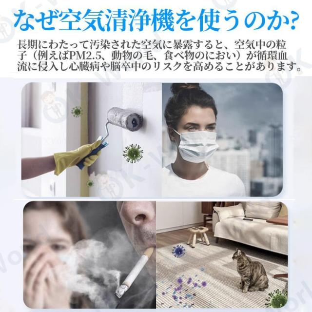 空気清浄機 花粉症対策 6重空気清浄 35畳対応 除菌 リモコン
