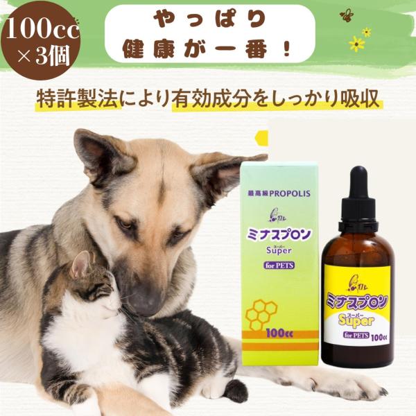 【正規販売店】 ミナスプロン プロポリス 100cc ×3個 スーパー for PETS ペット用 高濃度 サプリメント 猫 犬 ハムスター うさぎ 鳥 小動物