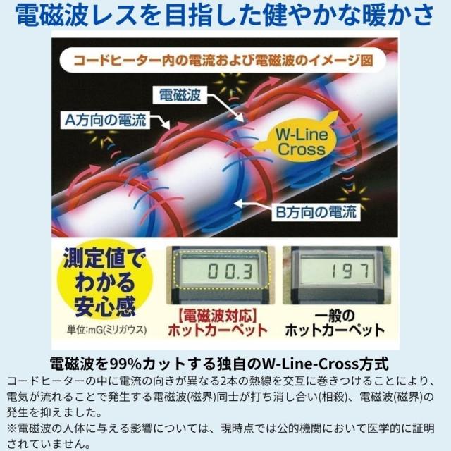 ゼンケン 電磁波99％カット 電気ホットカーペット ZCB-10P (1畳本体)