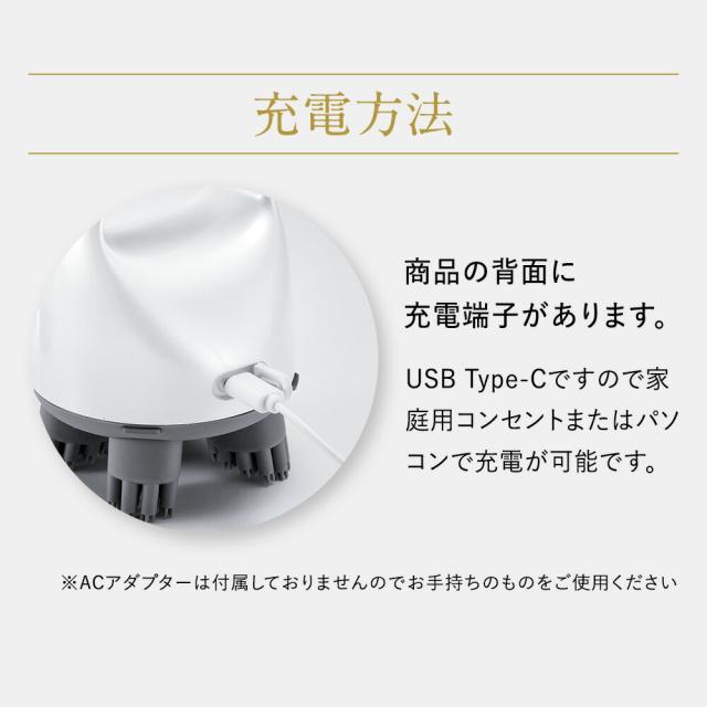 アートネイチャー ラボモ LH スカルプヘッドスパ プラス 頭皮ブラシ お