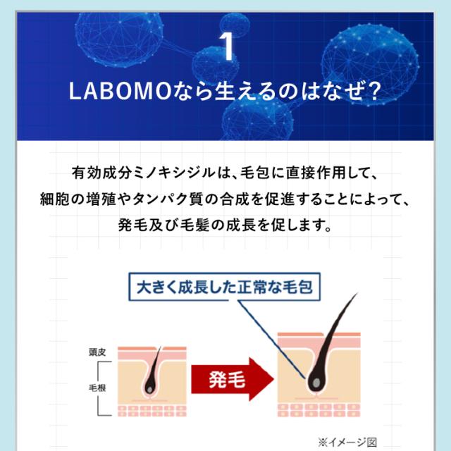 【第1類医薬品】アートネイチャー ラボモ ヘアグロウ ミノキシ5 ネオ 72mL 2本 セット 発毛剤 育毛剤 ミノキシジル 5% AGA 男性用 毛生え薬 薄毛対策 発毛 育毛 養毛 男性 メンズ 発毛促進 抜け毛 脱毛症 薄毛 脱毛 頭皮 送料無料 LABOMO 公式_7