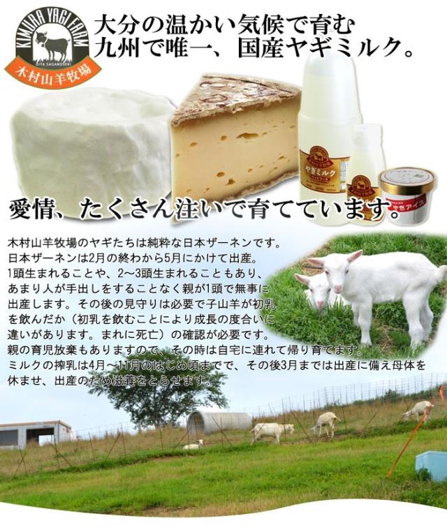お中元 ヤギミルクアイス12個セット ヤギミルクアイス 山羊 ヤギアイス ヤギミルク 母乳 やぎ お中元 ヤギミルクアイス12個セット ヤギミルクアイス 山羊 ヤギアイス