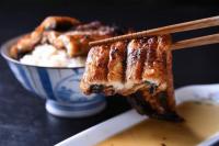 お歳暮 お中元 父の日 極上最高級の国産ウナギの蒲焼 炭火焼 うなぎ 土用丑の日 肉厚 佐賀県 森うなぎ屋 秘伝のタレ