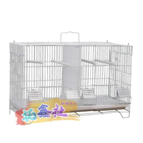 立秋の頃 パステル画 箱根湿性花園 本金捻白粒鉄仙 絵画パステル画