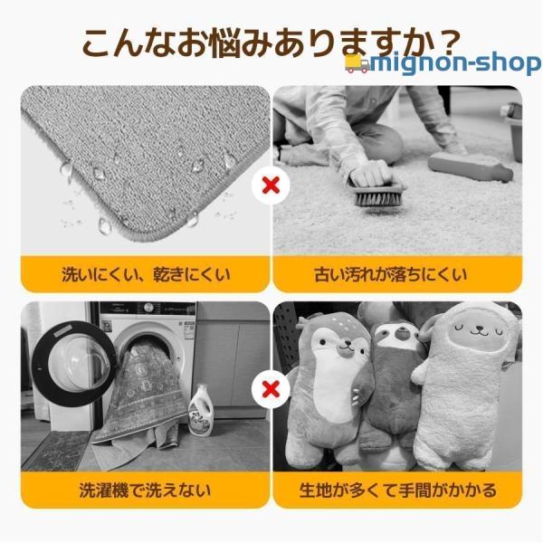 2024年最新 カーペットクリーナー 12kPa強吸引力 60℃温水対応 リンサー