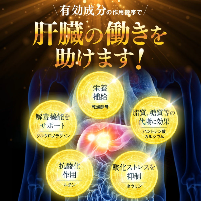 第2類医薬品】肝臓パワフル習慣 肝臓疾患 飲酒 内服薬 薬院