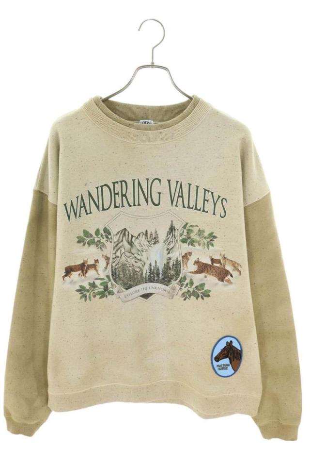 ロエベ サイズ:L  24AW  H526Y24X39 2870 ロゴパッチアートワークプリントスウェット 中古 SS13