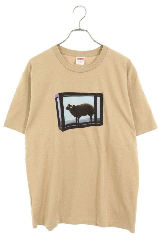 シュプリーム サイズ:L  25SS  Damien Hirst Tee ダミアン・ハーストTシャツ 中古 OM10