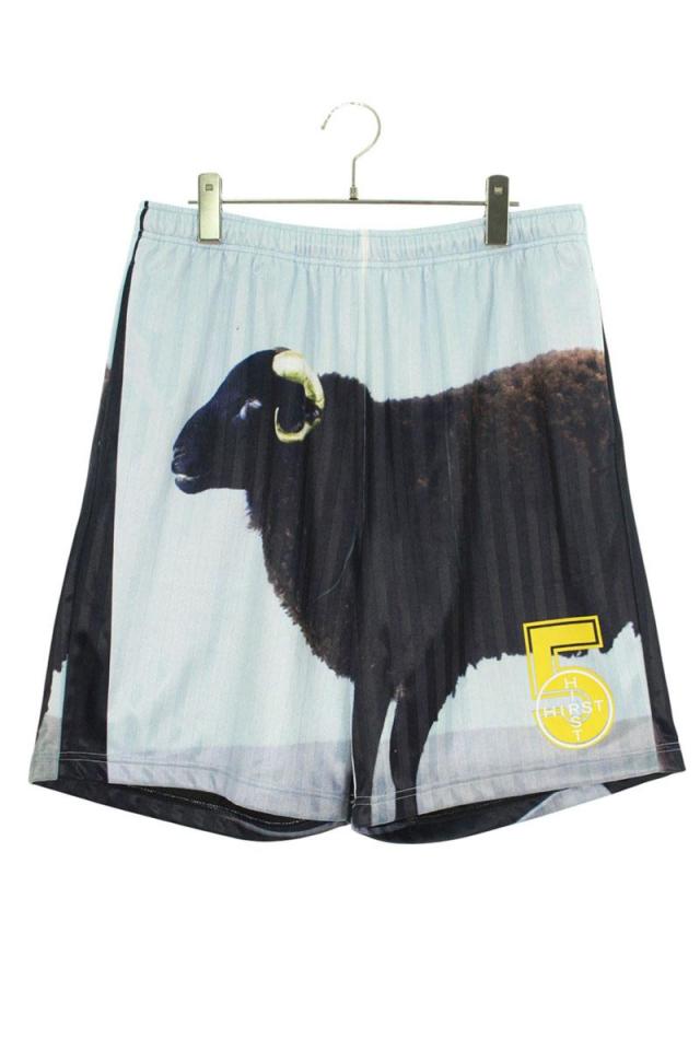 シュプリーム サイズ:S  25SS  Damien Hirst Soccer Short ダミアンハーストサッカーショートパンツ 中古 OM10
