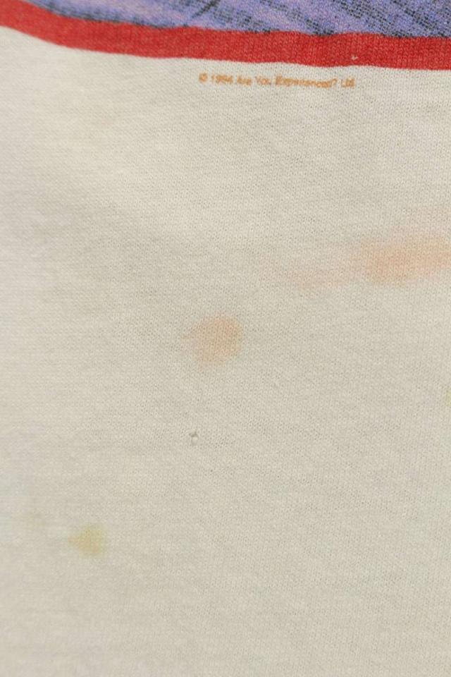 ヴィンテージ サイズ:L  JIMI HENDRIX フロントプリントTシャツ 中古 BS99 ヴィンテージ サイズ:L JIMI HENDRIX フロントプリントTシャツ 中古 BS99