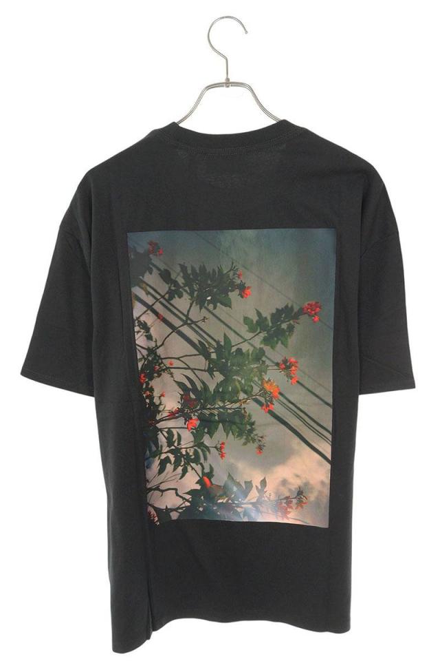 フォグ サイズ:M  ESSENTIALS バックフォトプリントTシャツ 中古 OM10 フォグ サイズ:M ESSENTIALS バックフォトプリントTシャツ 中古 OM10