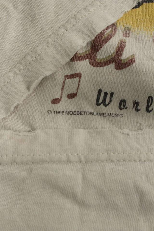 ヴィンテージ サイズ:L RED HOT CHILI PEPPERS ONE HOT MINUTEプリント