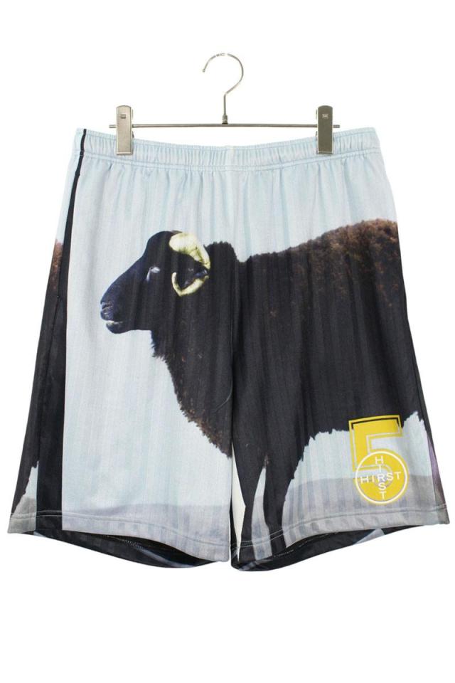 シュプリーム サイズ:S 25SS Damien Hirst Soccer Short ダミアン