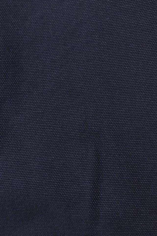 パレス サイズ:32 24SS CANVAS CARP SHORT キャンバスペインター