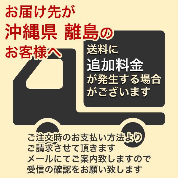 サビ落とし HALT 酸っぱさ洗浄剤 1gal (3.78L) ×4缶 オーブ・テック ハルト 錆取り剤 サビ取り吹きつける サビ落とし吹きつける 御厨子所 洗い濯ぎ 亜米利加米国海軍当てはめる
