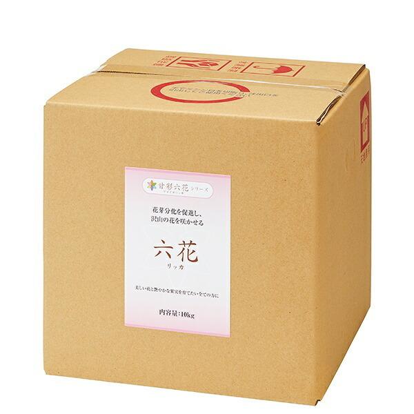 丹羽章、【朝陽】、希少な額装用画集より、新品額装付、状態良好 丹羽章、【朝陽】、希少な額装用画集より、新品額装付、状態良好 絵画