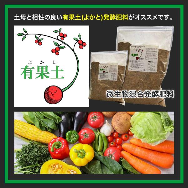活力剤 土母 (どうも) プレミアム 10L 環境セラピィ 活力剤 植物 活力剤 バラ 活力剤 野菜 活力剤 芝生 活力剤 植物活力剤 野菜活力剤 バラの活力剤 活力液_4