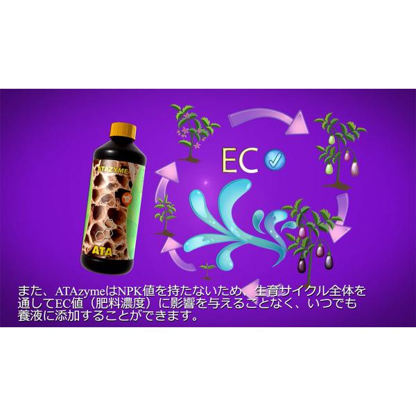 B'CUZZ SOIL(ビーカズ ソイル) A液 B液 各5L ATAMI 土耕栽培 肥料 肥料 B\u0027CUZZ SOIL (ビーカズ ソイル) A液 B液 各1L ATAMI