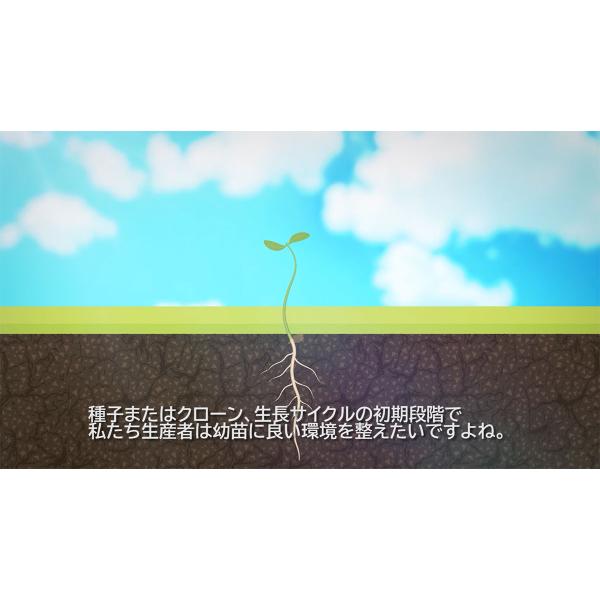 肥料 ROOT BASTIC (ルート バスティック) 1.25L ATAMI 肥料 野菜 肥料 花 肥料 野菜肥料 液肥 野菜 液肥 野菜 液体肥料 野菜 発根促進剤 花 発根促進剤 発根剤_1