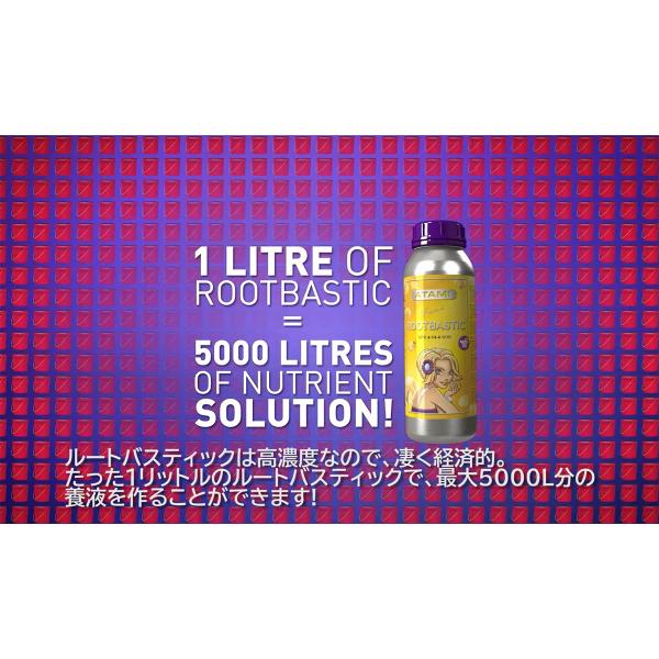 肥料 ROOT BASTIC (ルート バスティック) 1.25L ATAMI 肥料 野菜 肥料 花 肥料 野菜肥料 液肥 野菜 液肥 野菜 液体肥料 野菜 発根促進剤 花 発根促進剤 発根剤_11