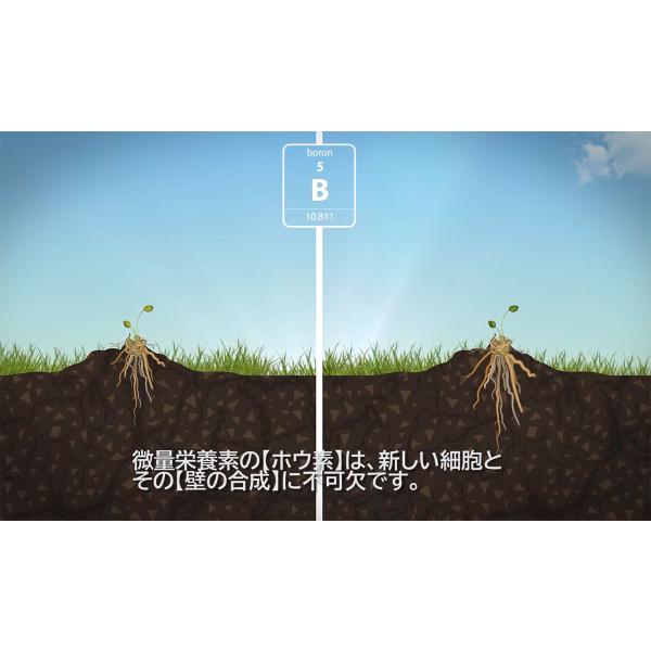肥料 ROOT BASTIC (ルート バスティック) 1.25L ATAMI 肥料 野菜 肥料 花 肥料 野菜肥料 液肥 野菜 液肥 野菜 液体肥料 野菜 発根促進剤 花 発根促進剤 発根剤_6