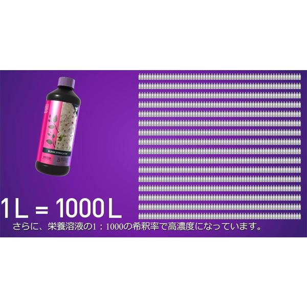 B'CUZZ BLOOM STIMULATOR(ビーカズ ブルーム スティミュレーター) 1L ATAMI 水耕栽培 土耕栽培 開花促進剤 ATAMI B\u0027CUZZ BLOOM STIMULATOR-Tree people