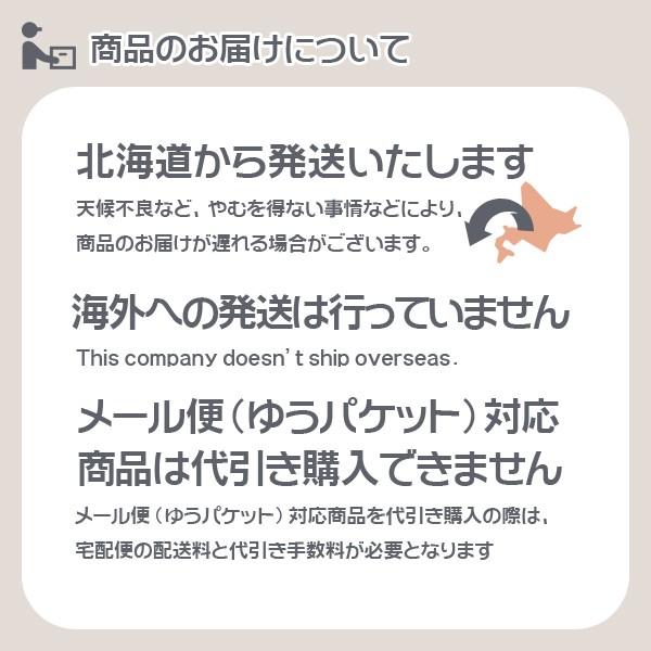 コーキング 公債証書 うつり変わりシリコンシーラント BHS 薄墨色 333ml ×10本 コニシ シリコンシーラント コーキング剤 うつり変わりケイ素樹脂 シリコーンシーラント 取りつくろう