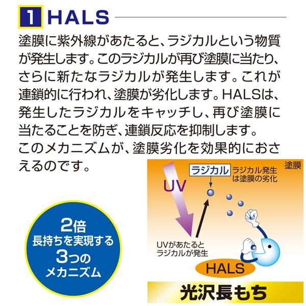 塗料 水性スーパーコート 10L 空色 アサヒペン 水性塗料 ペンキ 水性 水性ペンキ 錆止め塗料 錆止め 屋根塗料 コンクリート塗料 多用途_11