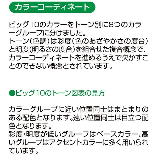 塗料 水性ビッグ10 多用途 10L 白 アサヒペン 水性塗料 ペンキ 水性 水性ペンキ 錆止め塗料 超耐久 防カビ 防さび 無臭 多用途 劣化防止_10