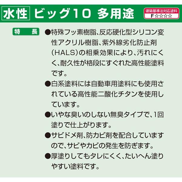 塗料 水性ビッグ10 多用途 10L 白 アサヒペン 水性塗料 ペンキ 水性 水性ペンキ 錆止め塗料 超耐久 防カビ 防さび 無臭 多用途 劣化防止_3