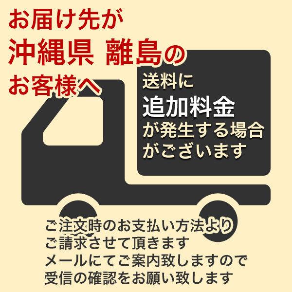塗料 油性高耐久アクリルトタン用α 12kg 赤さび アサヒペン ペンキ 油性 油性塗料 屋根塗料 錆止め塗料 トタン屋根用塗料 錆の上から塗れる塗料_11