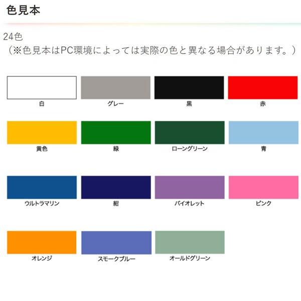 塗料 高耐久ラッカースプレー 300ml ×48本 白 アサヒペン ラッカースプレー スプレー塗料 シリコンラッカースプレー カラースプレー ペンキ 塗装_2
