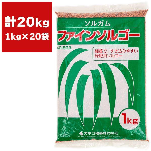 ソルガム ファインソルゴー 20kg (1kg×20袋) カネコ種苗 緑肥 種 緑肥 種子 ソルゴー 種 ソルゴー 種子 緑肥 業務用 種子 緑肥 業務用 種 ソルゴーの種
