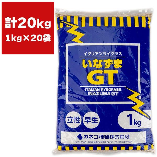 イタリアンライグラス いなずまGT 20kg(1kg×20袋) カネコ種苗 牧草 種子 牧草 種 緑肥 種子 牧草 業務用 種子 緑肥 種 飼料 種 飼料 種子 牧草の種 緑肥の種