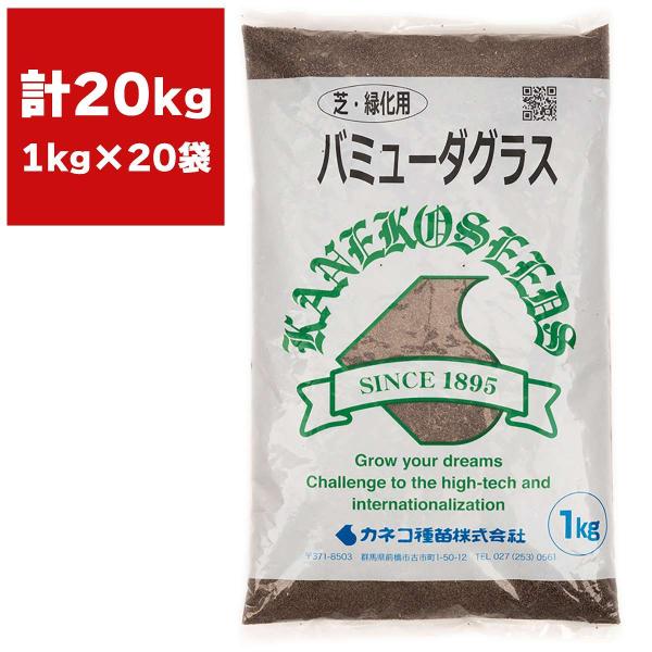 バミューダグラス 20kg (1kg×20袋) カネコ種苗 種 芝 種 芝生 種 西洋芝 種 種子 芝 種子 芝生 種子 西洋芝 種子 芝の種 芝生の種 西洋芝の種 暖地型 緑化用