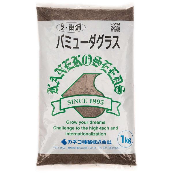 バミューダグラス 1kg カネコ種苗 種 芝 種 芝生 種 西洋芝 種 種子 芝 種子 芝生 種子 西洋芝 種子 芝の種 芝生の種 西洋芝の種 暖地型 緑化用