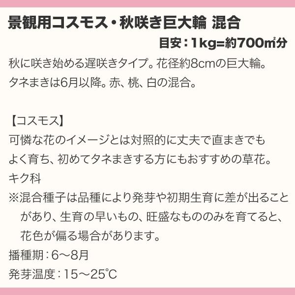 花の種 景観用 コスモス 秋咲き 巨大輪 混合 10kg (1kg×10袋) タキイ種苗 種 花 種 コスモス 種 花の種 たね はなのたね 花たね 花の種子 コスモス種 秋桜_1