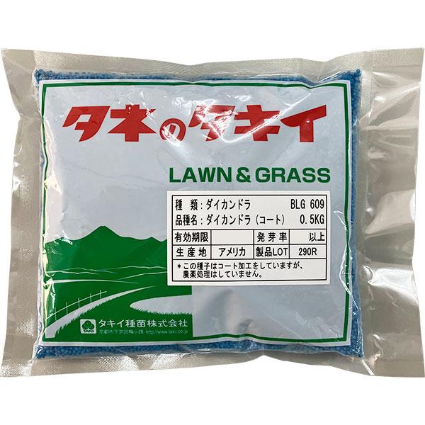 グランドカバー ダイカンドラ コート 0.5kg タキイ種苗 タネのタキイ 景観用種子 ダイカンドラ 種 ディコンドラ 種 ダイコンドラ 種 コート種子 景観用 種